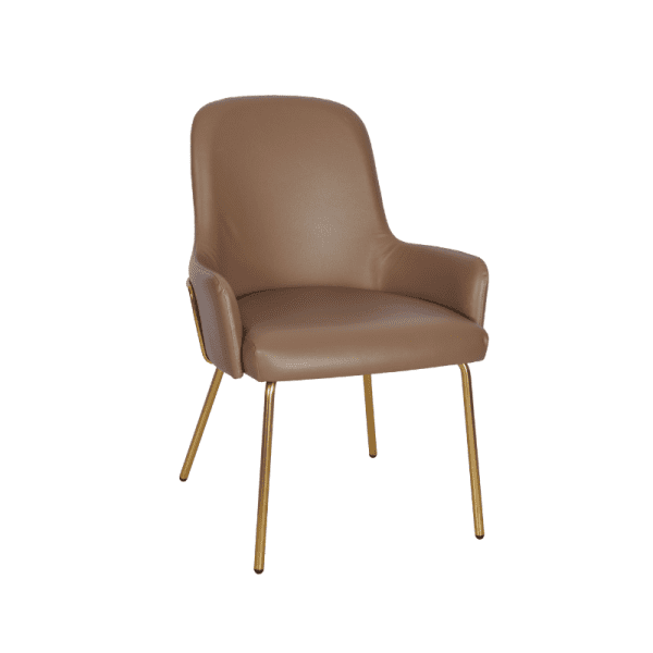 Product image of the Camden Tube Side Chair