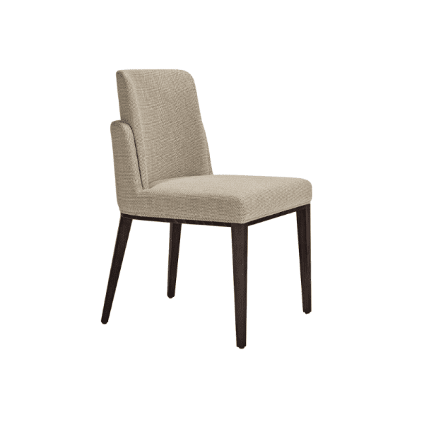 Product image of the Aggy Side Chair featuring a modern and stylish design.