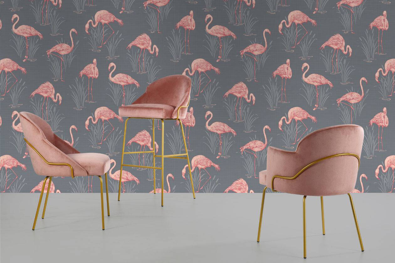 Product image of the Paris collection