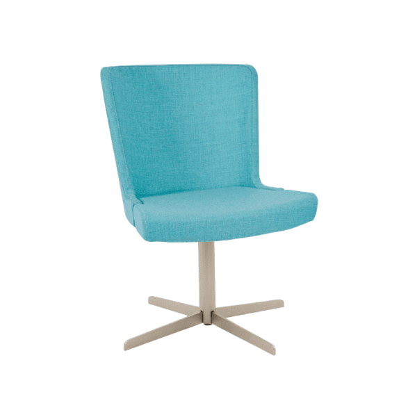 An image of a dining chair showing its frame, seat and backrest.